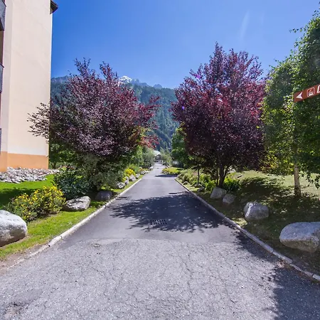 Grand Roc - Campanules 311 - Happy * Chamonix